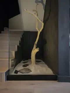 Interior design medellin apartment 02