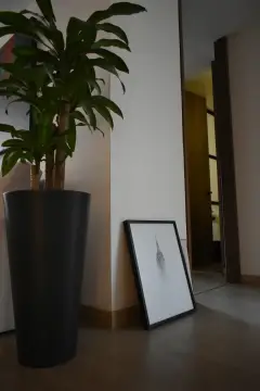 Torrelogos apartment interior renovation 10